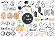 Nuts. Vector set., an Object Graphic by maritime_m (Thumbnail 2 of 6)