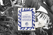 Handmade Earthy Frames & Backgrounds, an Object Graphic by Lana Elanor (Thumbnail 4 of 16)