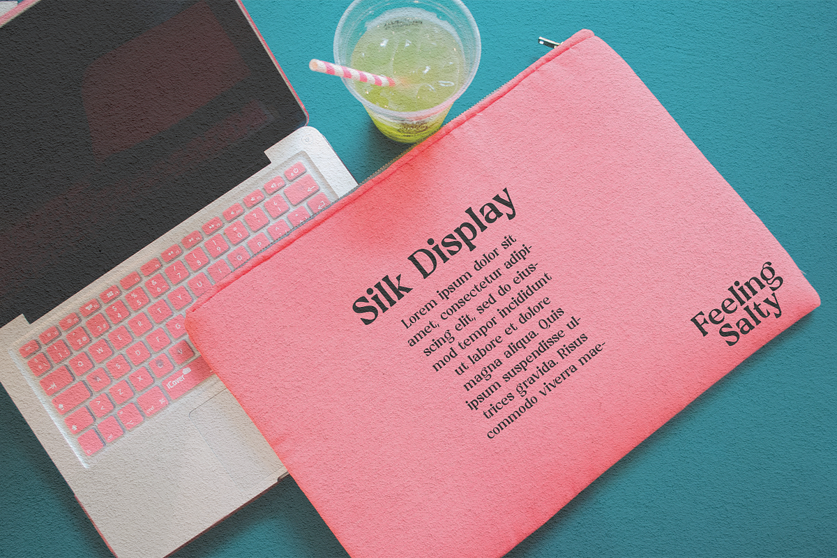 Silk Display, a Font by LuhopCreative (Photo 16 of 17)