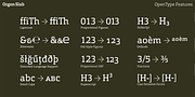 Orgon Slab, a Slab Serif Font by Hoftype (Thumbnail 30 of 30)