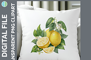 Fruit Illustration Bundle, 20 PNG, a Decorative Illustration by Enliven Designs (Thumbnail 7 of 8)