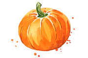 Set of orange foods, watercolor, a Food Illustration by Kamenuka (Thumbnail 4 of 4)
