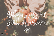HAYRIDE DAYS Fall Script Font, a Script Font by Blush Font Co. (Thumbnail 4 of 6)