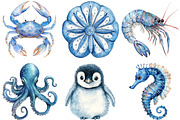 Watercolor Blue Ocean Animals Png, an Animal Illustration by cherrydesign (Thumbnail 2 of 3)