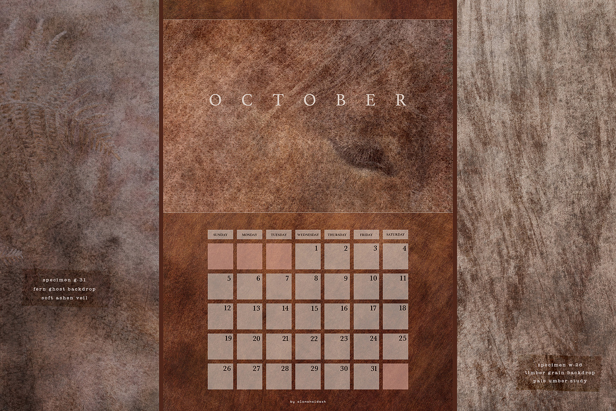 Vestige · Organic Backgrounds, a Background Graphic by alonahaidash (Photo 6 of 14)