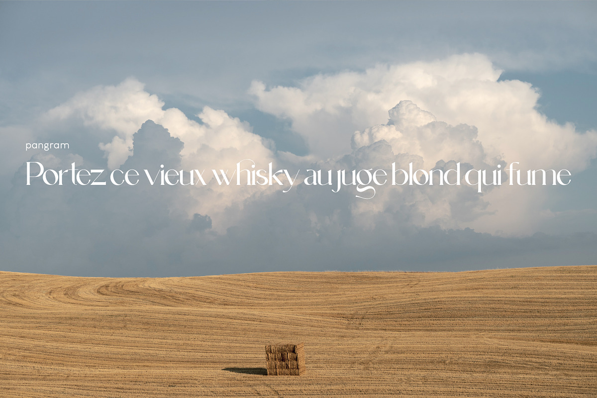 Leky Calgria Elegant Serif, a Serif Font by Hishand Studio (Photo 11 of 12)