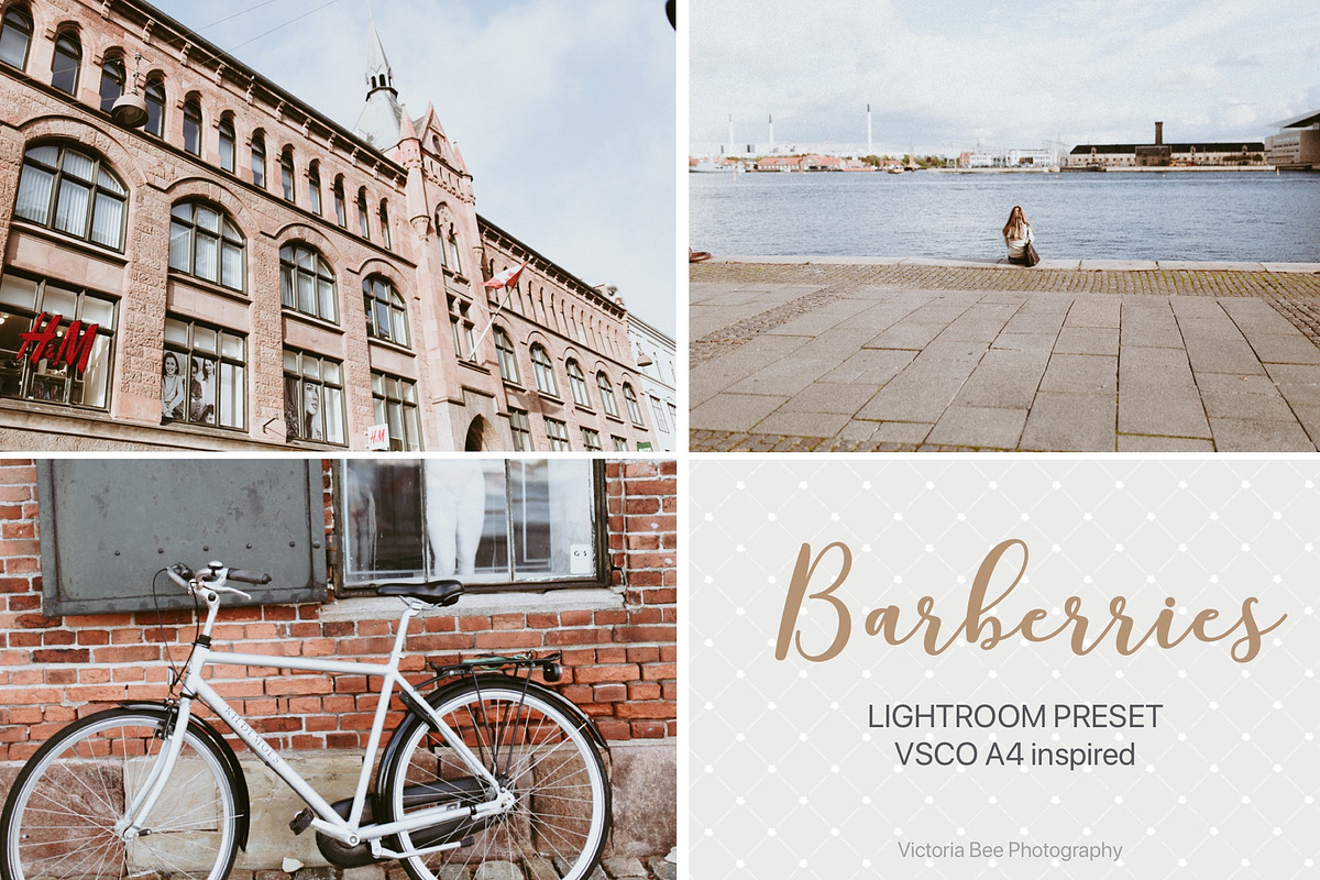 Desktop Lightroom Presets BARBERRY, an Action Add-On by Victoria Bee Presets (Photo 13 of 14)