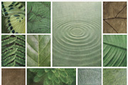 Sylva Textured Botanical Backgrounds, a Background Graphic by alonahaidash (Thumbnail 9 of 15)
