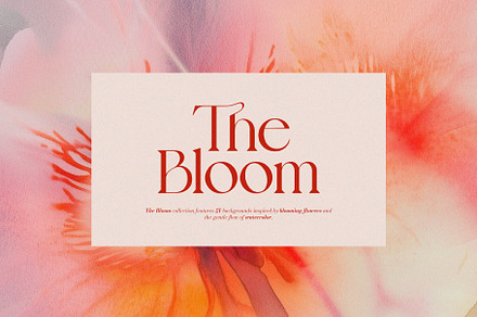 The Bloom Collection
