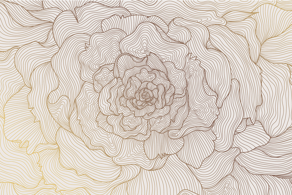 Line Flowers Illustrations, a Decorative Illustration by Marylia (Photo 2 of 19)