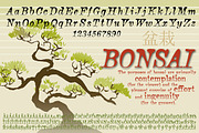 Bonsai Italic, a Font by Three Islands Press (Thumbnail 4 of 5)