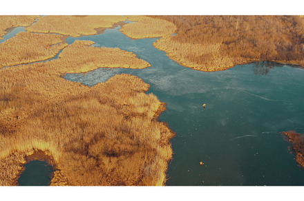 Aerial View Of Forest Woods And, a Nature Photo by Our Amazing World
