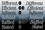 FTC Foldyne, a Serif Font by Fridaytype (Thumbnail 7 of 12)