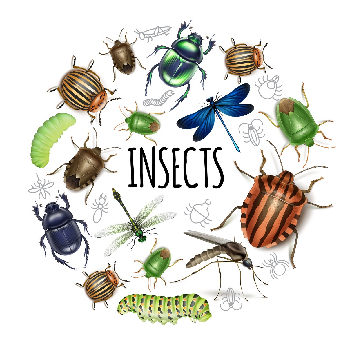 Realistic insects round concept, an Animal Illustration by Microvector