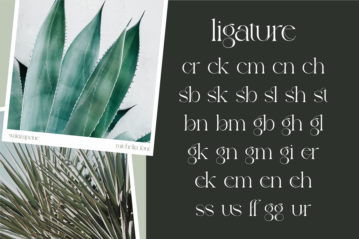 Michelia - Modern & Aesthetic, a Serif Font by ErgibiStudio (Photo 6 of 12)