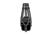 Macrame Plant Hanger Bundle, an Illustration by Creativeshirt (Thumbnail 4 of 31)