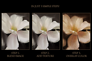 The Florist Procreate Brush Set, a Brushes & More by Ema Nur (Thumbnail 4 of 11)