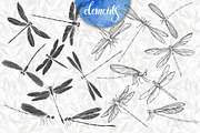 Dragonflies., an Object Graphic by maritime_m (Thumbnail 4 of 7)