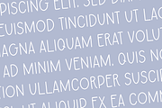 AUTUMN FARMHOUSE FONT BUNDLE, a Font by Blush Font Co. (Thumbnail 23 of 31)