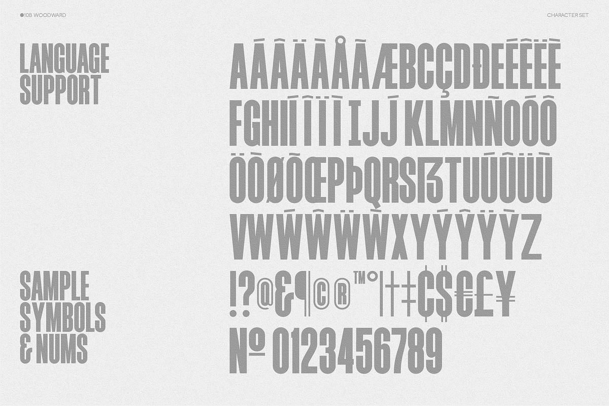 10B Woodward: Editorial Sans, a Font by Tenbury Type (Photo 11 of 12)