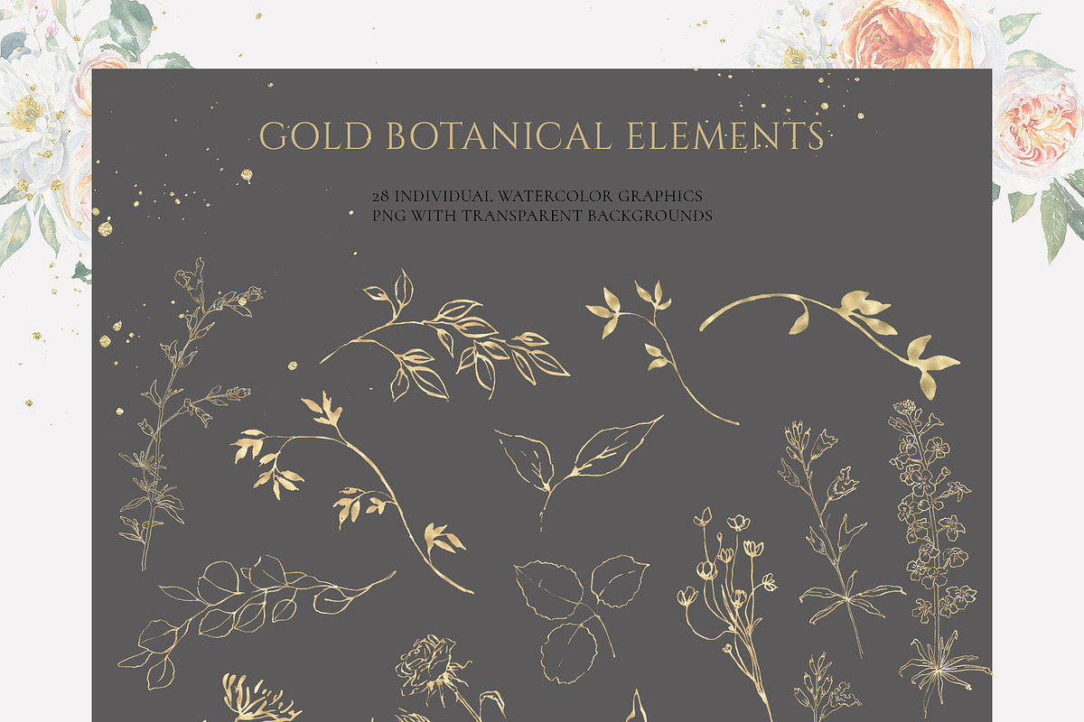 Watercolor Botanical Florals, a Decorative Illustration by Catherine Wheel (Photo 27 of 43)