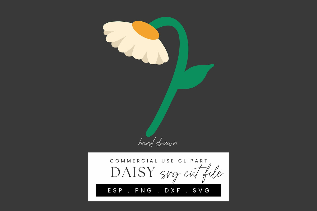 Daisy Papercraft SVG Bundle, Layered, an Illustration by illuztrate (Photo 12 of 12)