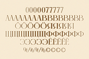 Castre - Serif Font Family (Updated), a Serif Font by Nathatype (Thumbnail 10 of 13)