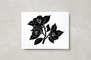 Vintage Botanica II, an Object Graphic by Mii Lab (Thumbnail 20 of 21)