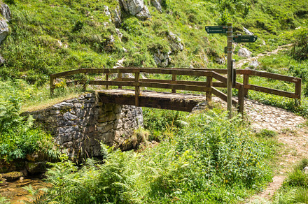Wood bridge in Picos de Europa, Asturias, Spain, a Nature Photo by GoodGoods
