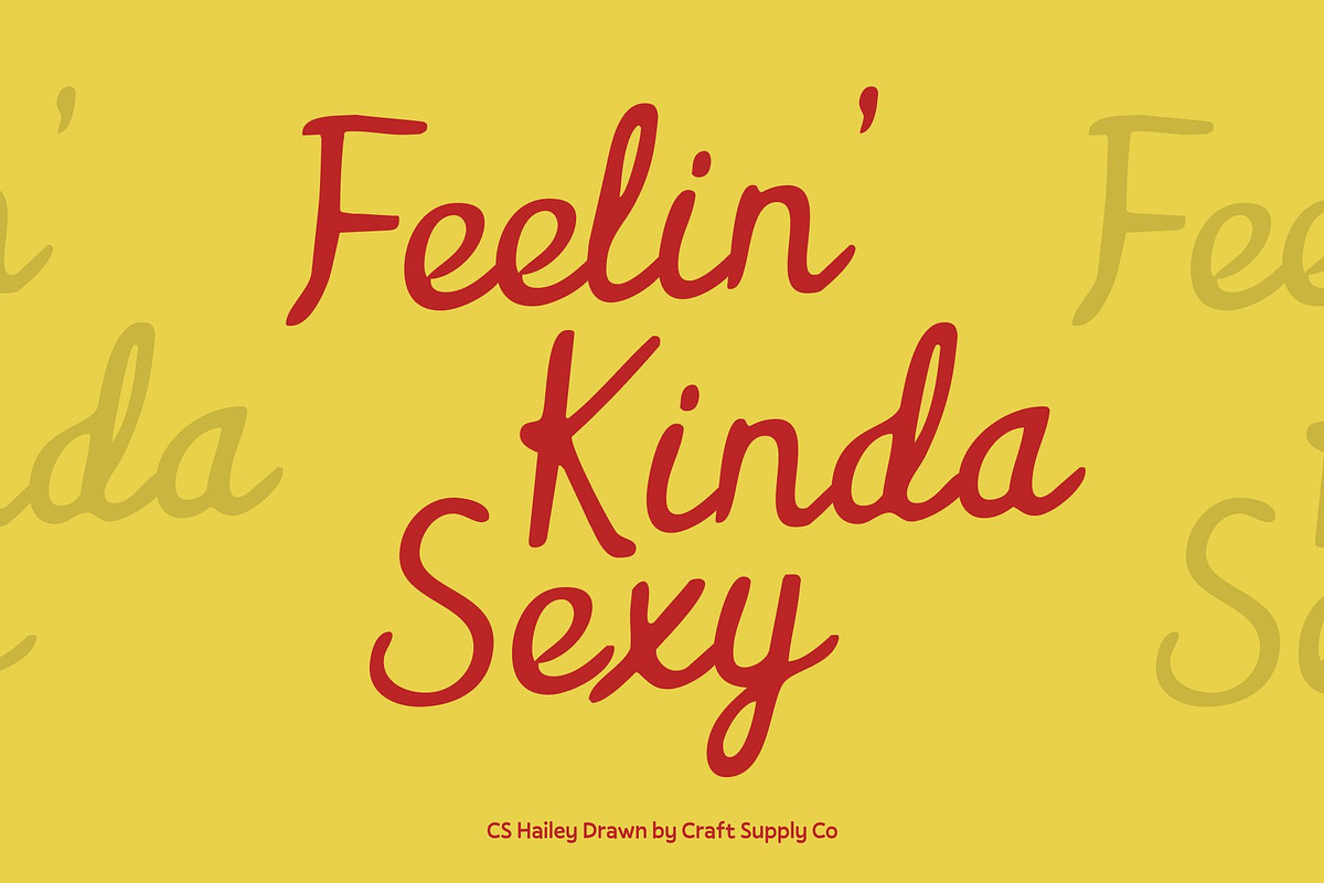 CS Hailey Drawn, a Script Font by Craft Supply Co. (Photo 5 of 8)