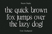 Breasto - Display Serif, a Sans Serif Font by tebaltipislab (Thumbnail 12 of 18)