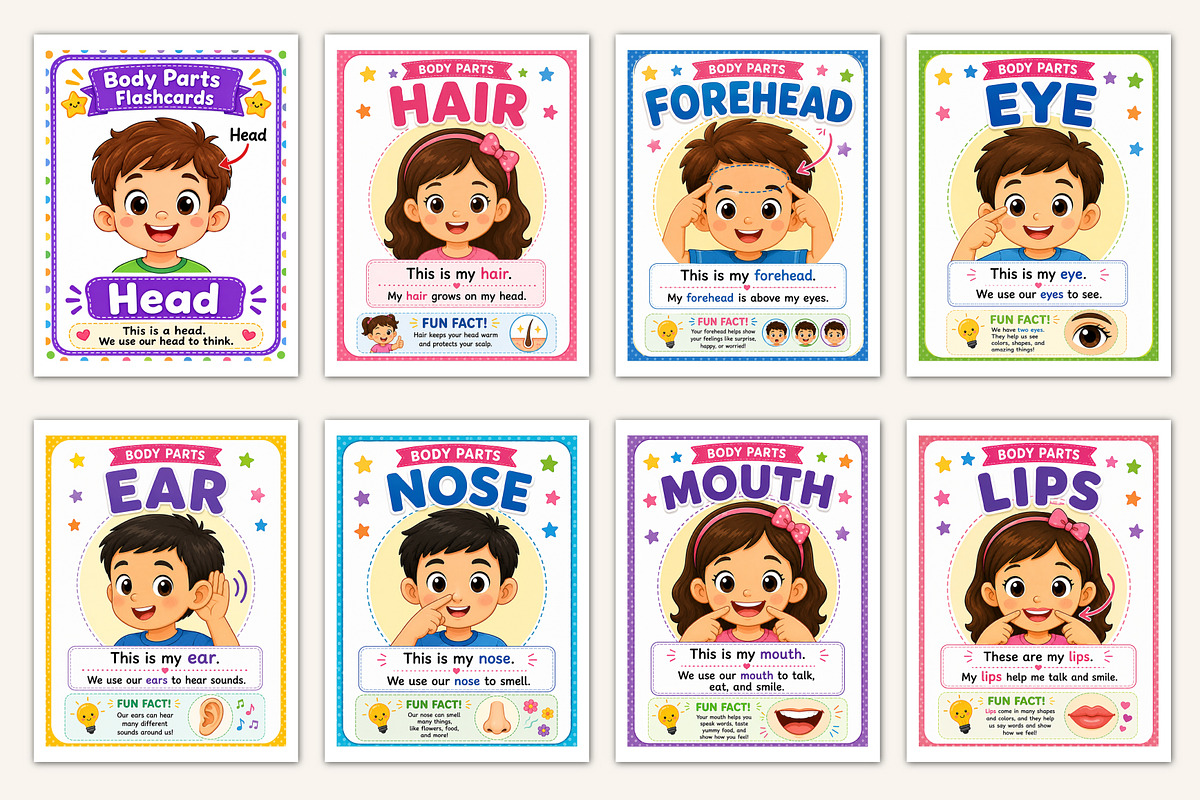 Body Parts Flashcards for Kids, a Stationery Template by Designmela01 (Photo 2 of 5)