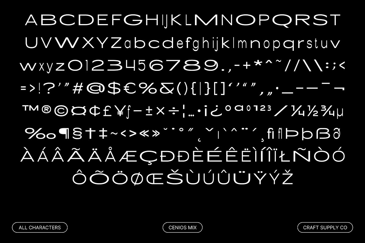 Cenios Mix, a Sans Serif Font by Craft Supply Co. (Photo 8 of 8)