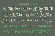 Rooyale - Minimal Modern Stylish, a Serif Font by Qweera Studio (Thumbnail 11 of 12)