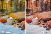 20 Lightroom Presets Autumn part 1, a Preset Add-On by PerfectStudioPresets (Thumbnail 10 of 10)