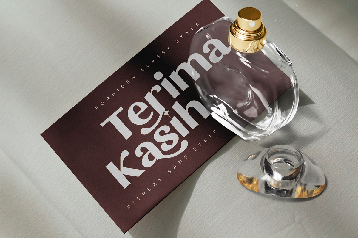 Forbiden Classy Sans Serif, a Sans Serif Font by Glyphstyle (Photo 6 of 6)