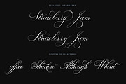 Bodega Script Elegant Wedding Font, a Script Font by vatesdesign (Thumbnail 3 of 8)
