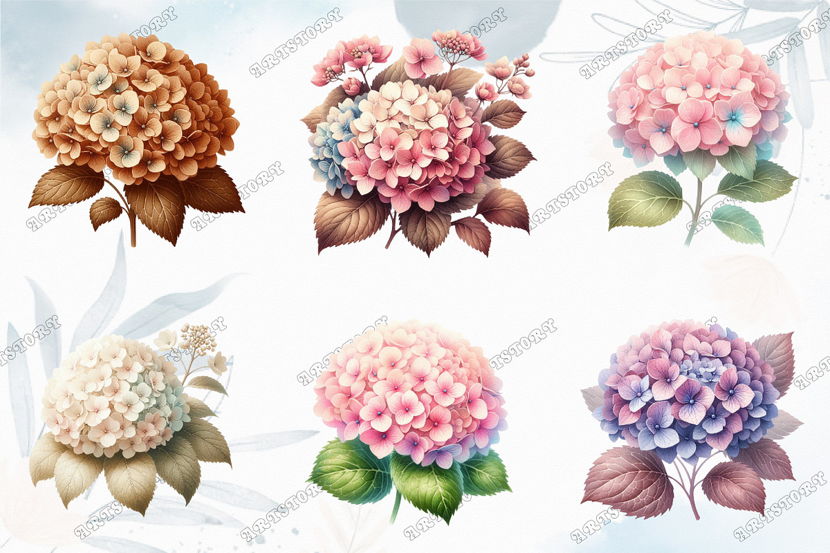 Watercolor Spring Hydrangea Flowers, a Graphic by designcity5 (Photo 3 of 5)