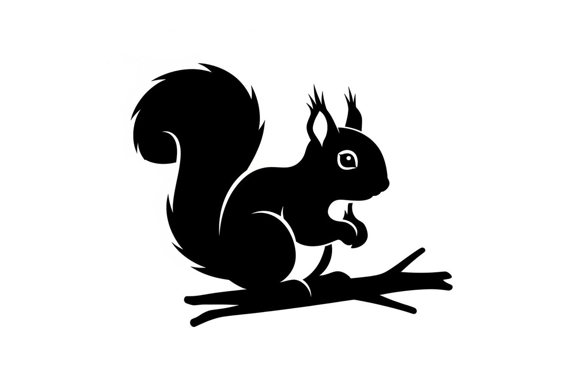 Black Squirrel Vector Icon Bundle, an Illustration by jahid234 (Photo 25 of 51)