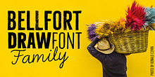 Bellfort Draw