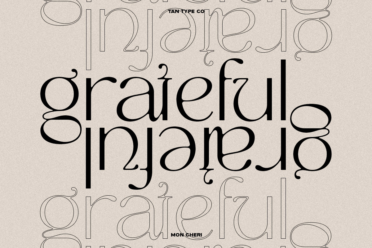 TAN - MON CHERI, a Sans Serif Font by TanType (Photo 10 of 23)
