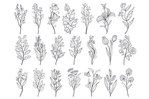 Linear floral branches. Decorative, an Object Illustration by YummyBuum