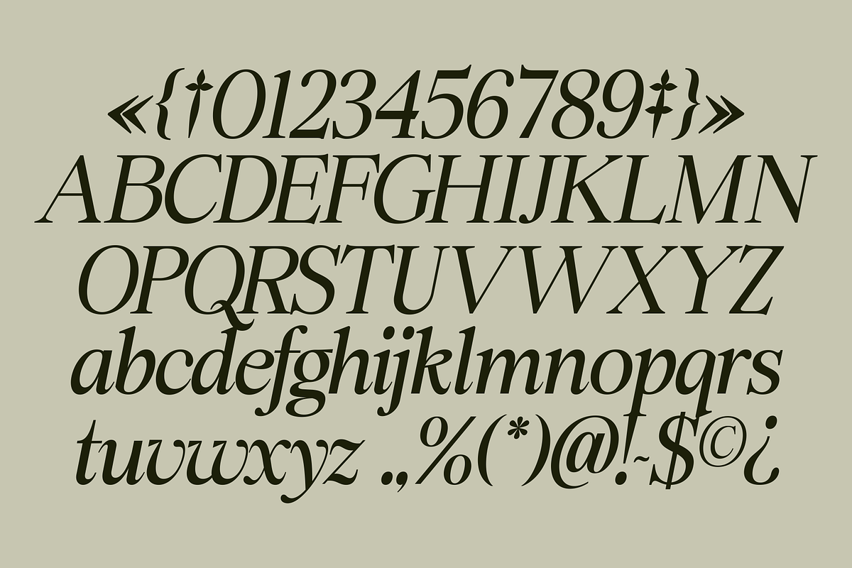 Swarsh Daisy - Elegant Serif Display, a Serif Font by Marvadesign (Photo 7 of 8)