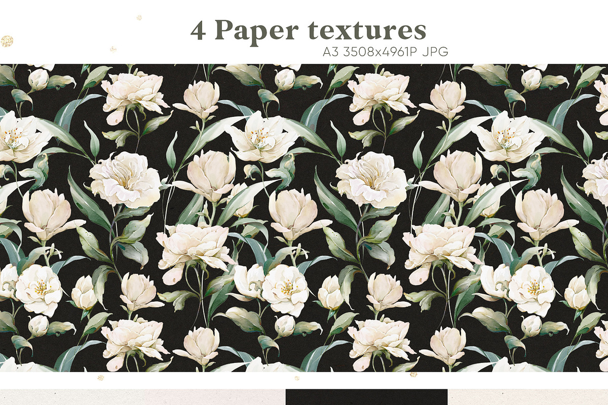 Watercolor White Flowers Collection, a Decorative Illustration by Damian Roh (Photo 15 of 16)