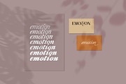 Liliane Classe Serif Font Family, a Serif Font by Ryul Davidson (Thumbnail 15 of 21)