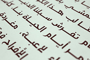 Zahey - Arabic Font, a Serif Font by Mostafa El Abasiry (Thumbnail 12 of 12)