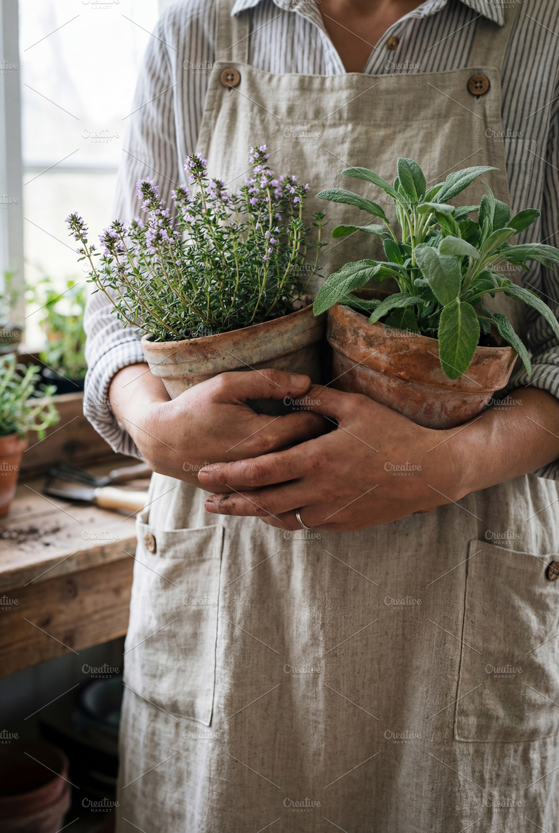 Gardener Holding Potted of Herbs, a Nature Photo by Virgo Studio