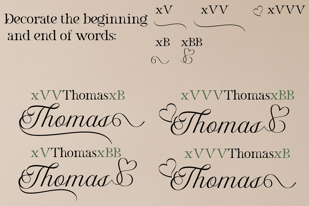 Dalvic – Calligraphy Font, a Script Font by NDNL Studio (Photo 8 of 11)