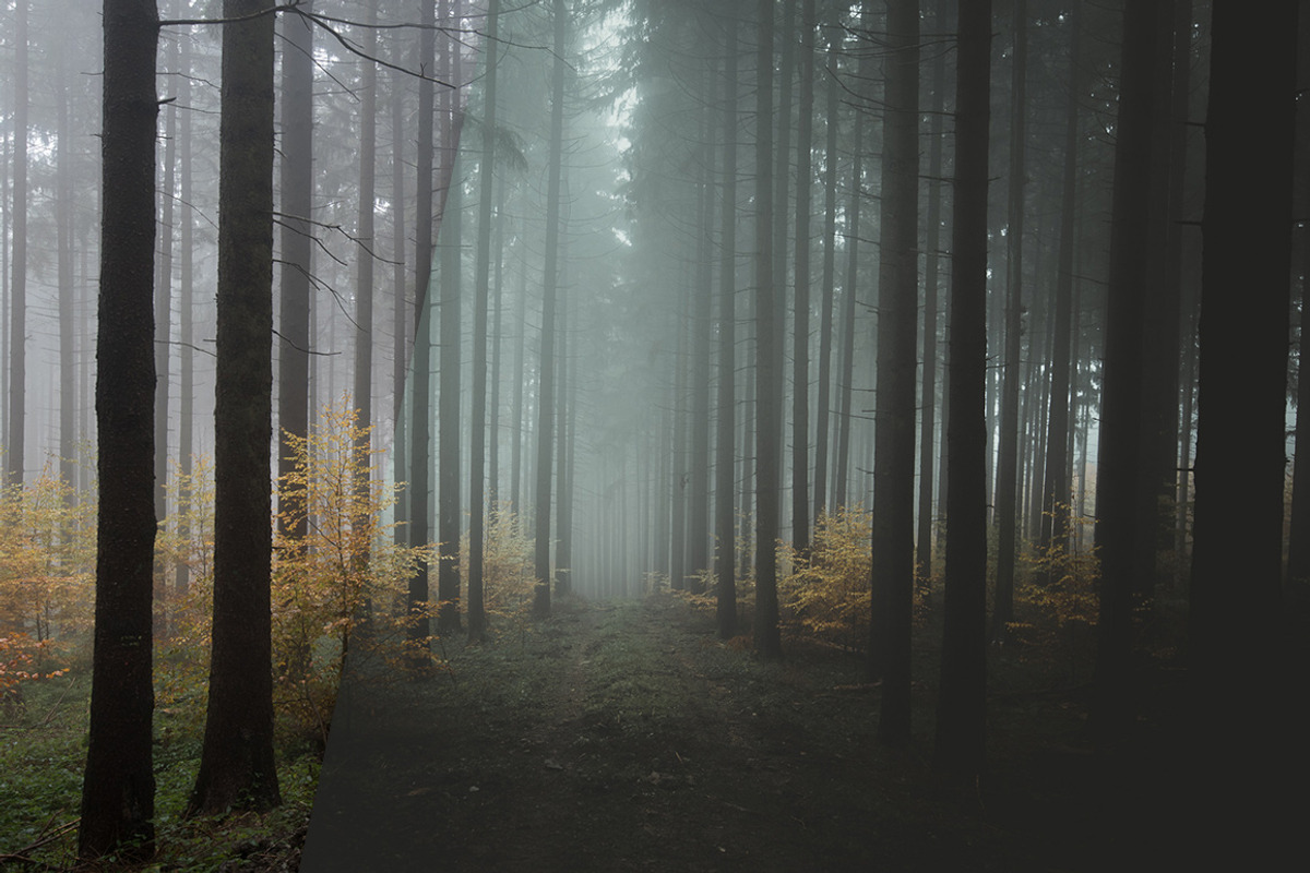 Moody Lightroom Presets - Soft Light, an Action Add-On by PhotoMarket (Photo 30 of 33)