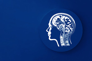 Side view anatomical illustration of human head and brain in pro, a Health & Medical Photo by José Manuel Gelpi